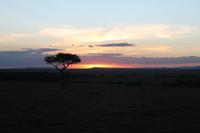 Sonnenuntergang in der Masai Mara