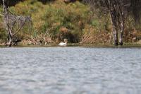 Bootsfahrt auf dem Lake Naivasha