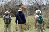 Giraffenbeobachtung auf Crescent Island