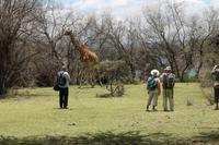 Giraffenbeobachtung auf Crescent Island