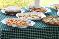 Elsamare Tierschutzzentrum