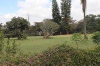 Garten von Karen Blixen