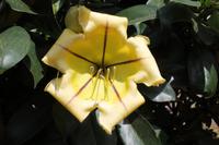 Zu Besuch bei Karen Blixen