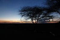 Amboseli Nationalpark
