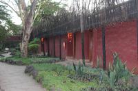 Amboseli Serena Safari Lodge