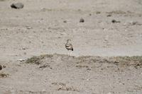 Amboseli Nationalpark