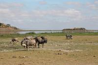 Amboseli Nationalpark