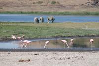 Amboseli Nationalpark