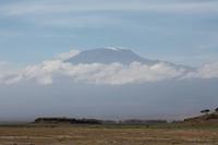 Kilimanjaro