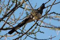 Tsavo Ost Nationalpark