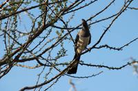 Tsavo Ost Nationalpark