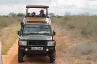 Tsavo Ost Nationalpark