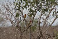 Tsavo Ost Nationalpark