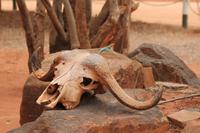 Tsavo Ost Nationalpark