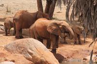 Tsavo Ost Nationalpark