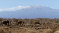 Abreise vom Amboseli NP