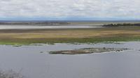 Amboseli Nationalpark Blick vom Aussichtspunkt