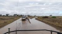 Amboseli Nationalpark nach dem Regen des Vortages