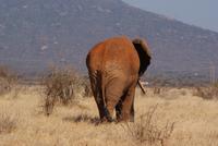 Bye Bye Kenia