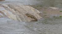 Crocodile Point am Galana-Fluß
