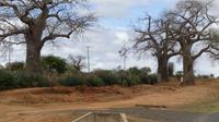 Fahrt nach Nairobi