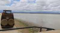 Flamingos im Amboseli NP