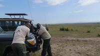 Frühstück in der Masai Mara