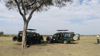 Frühstück in der Masai Mara