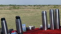 Frühstück in der Masai Mara