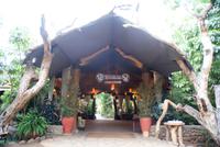 Kibo Safari Camp