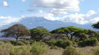 Kilimandscharo beim Nachmittags Game Drive