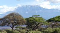 Kilimandscharo beim Nachmittags Game Drive