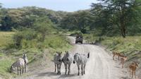 Lake Nakuru Nationalpark