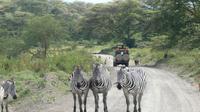 Lake Nakuru Nationalpark