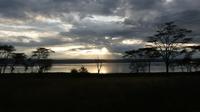Lake Nakuru Nationalpark