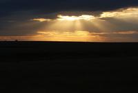 Masai Mara (33)