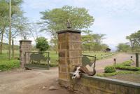 Nakuru Nationalpark