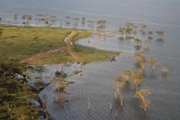 Nakuru Nationalpark