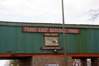 Safari im Tsavo Ost
