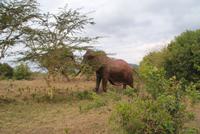 Sandai Ranch (2)
