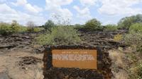 Shetani Lava Feld Tsavo West