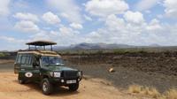 Shetani Lava Feld Tsavo West