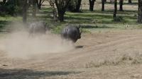 Solio Reservat 