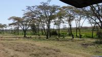 Solio Reservat 