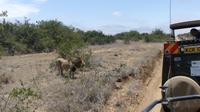 Solio Reservat 
