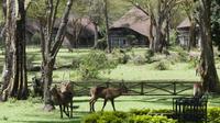Sopa Lodge Lake Naivasha