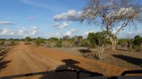 Tsavo Ost 