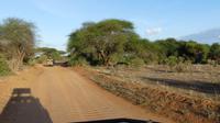 Tsavo Ost 