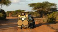 Tsavo Ost 