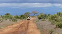 Tsavo Ost 